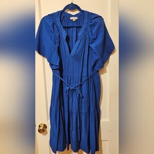 Calvin Klein Blue Dress